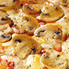 Funghi